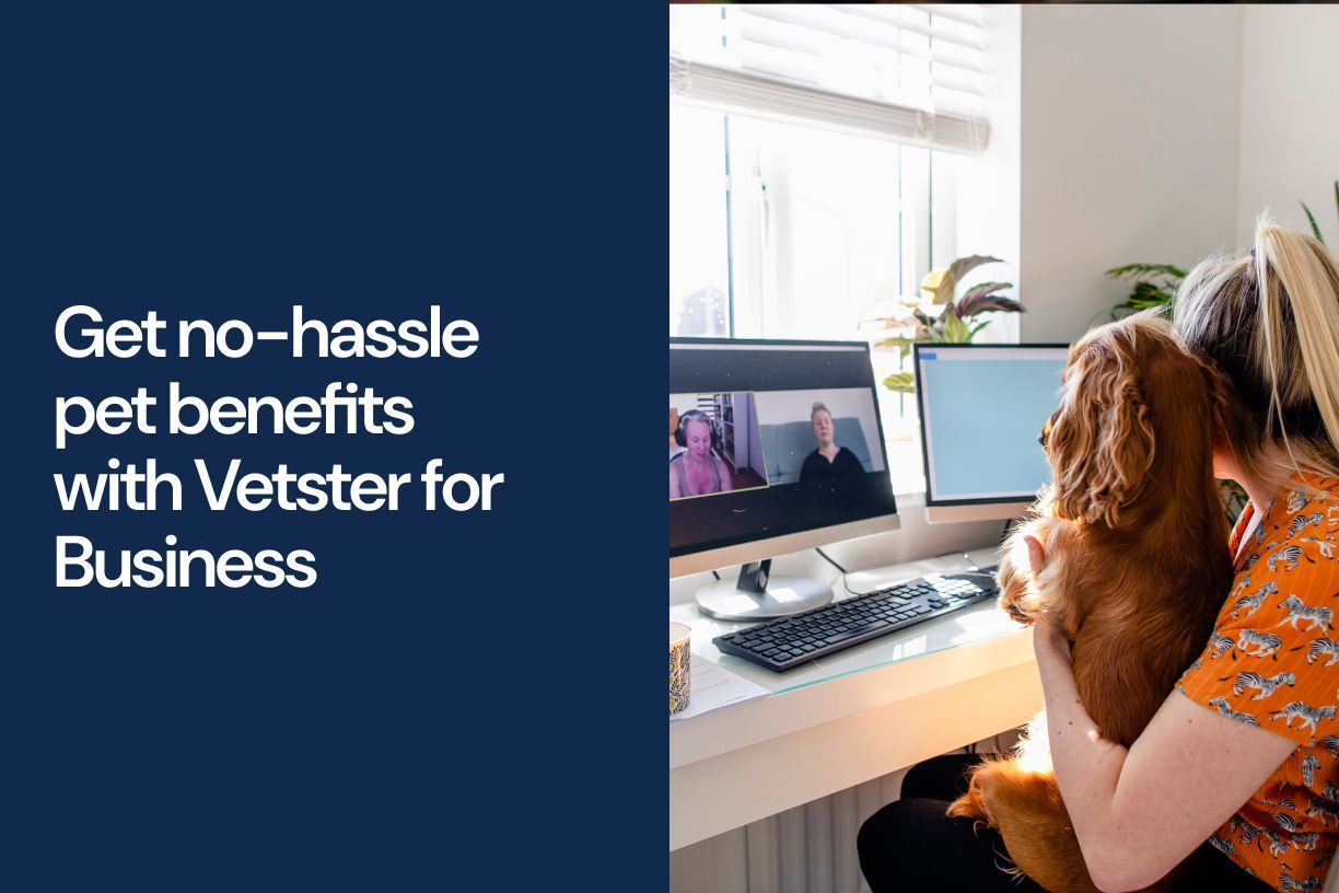 Get no-hassle pet benefits with Vetster for Business  - Vetster
