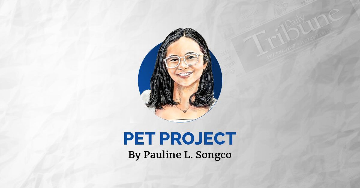 Too hot for pets? - Vetster