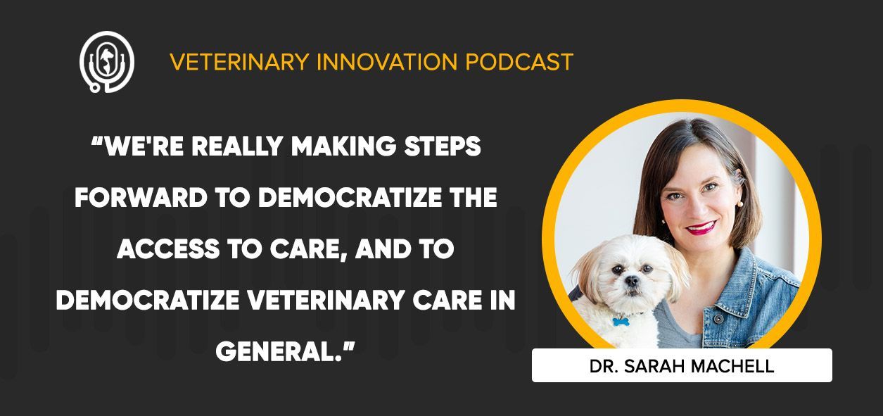 Veterinary Innovation Podcast - Dr. Sarah Machell | Vetster - Vetster