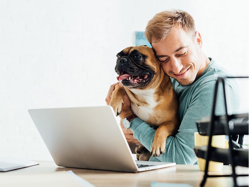 Toronto software company offering virtual veterinarian service to pet-owning employees - Vetster