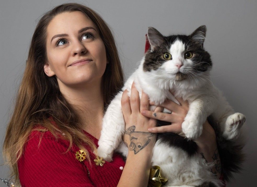 New Investment and Partnership Announced by Pet Tech Startup Vetster - Vetster