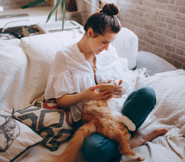 Speak to a vet online any time, anywhere