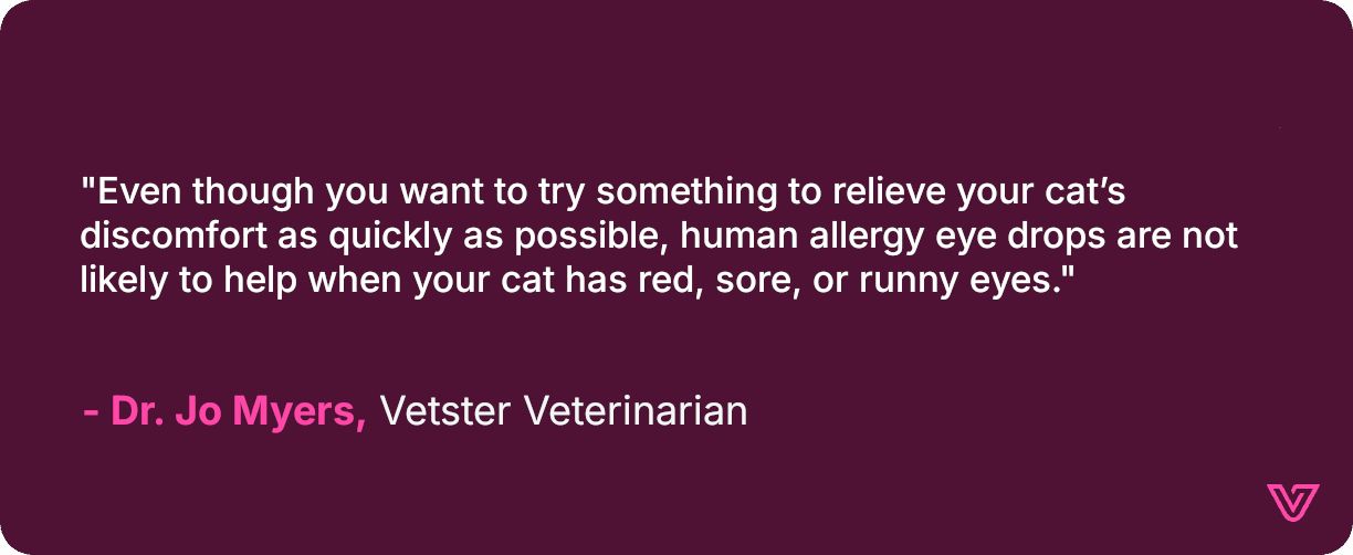 Dr. Jo describes human allergy eye drops as ineffective for cats