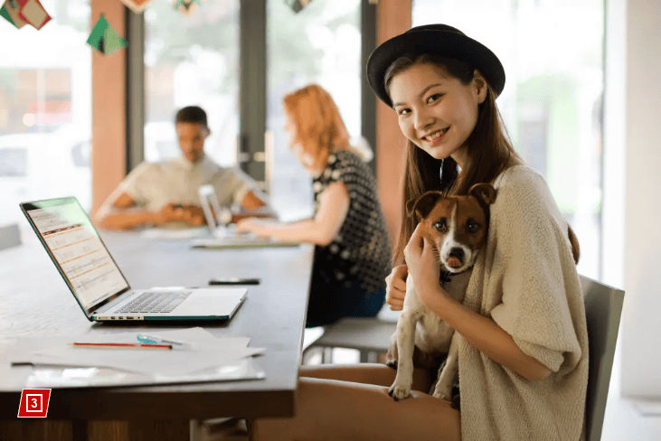 Would You Take a Pay Cut to Work at a Pet-Friendly Job? - Vetster