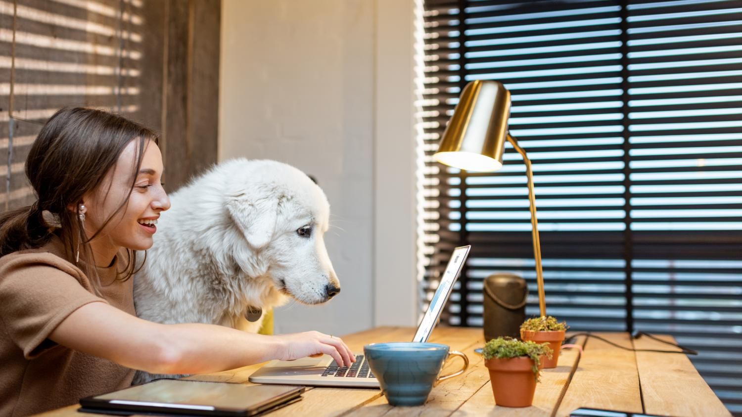 Tech Helps Pets Avoid Trips To Vets - Vetster