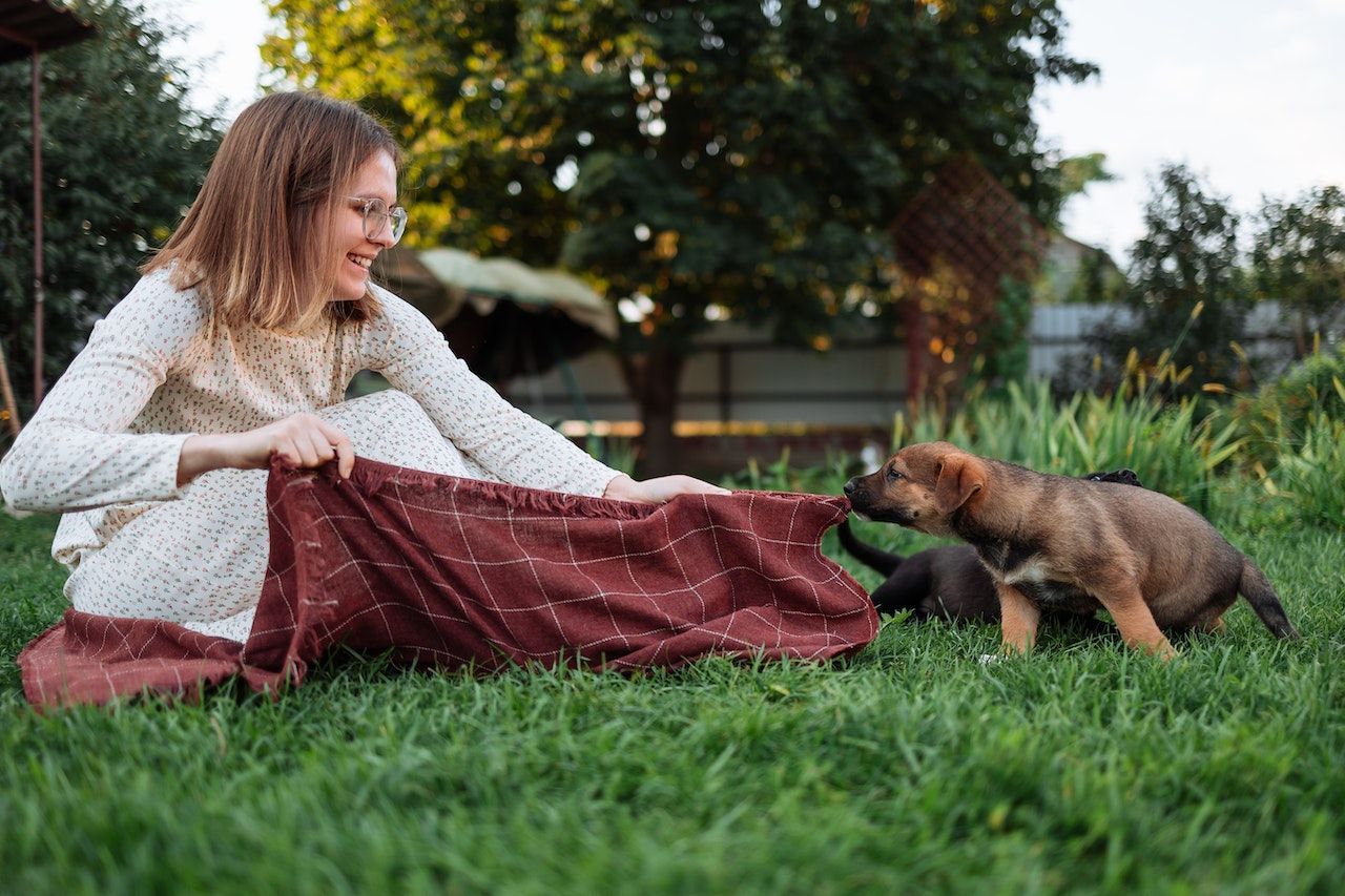 One In Five Brits Delay Taking Pet To The Vet - Vetster