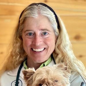 Dr. Jo Myers