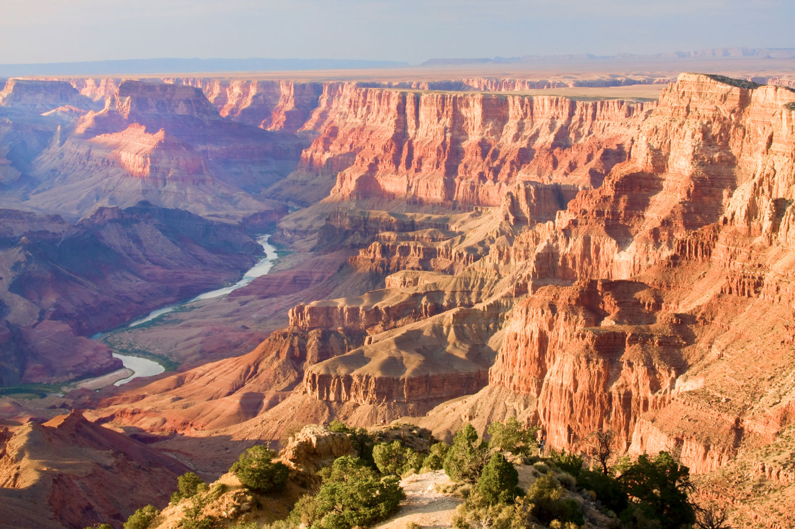 Arizona