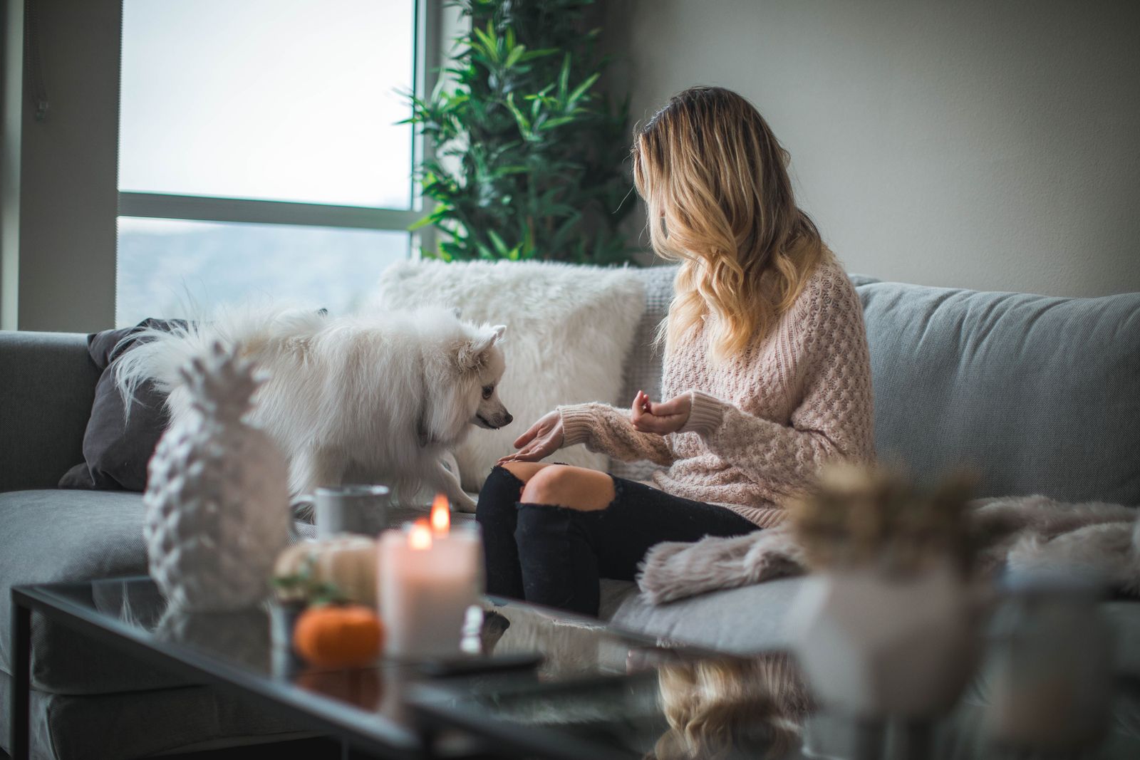 When to consult with a veterinarian or technician on Vetster - Vetster