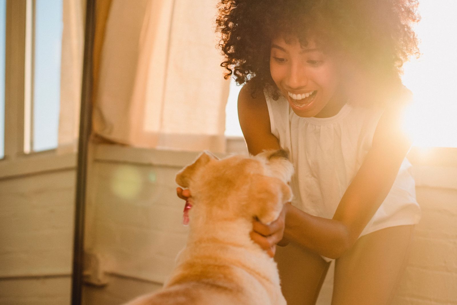 Pet care tips - Vetster