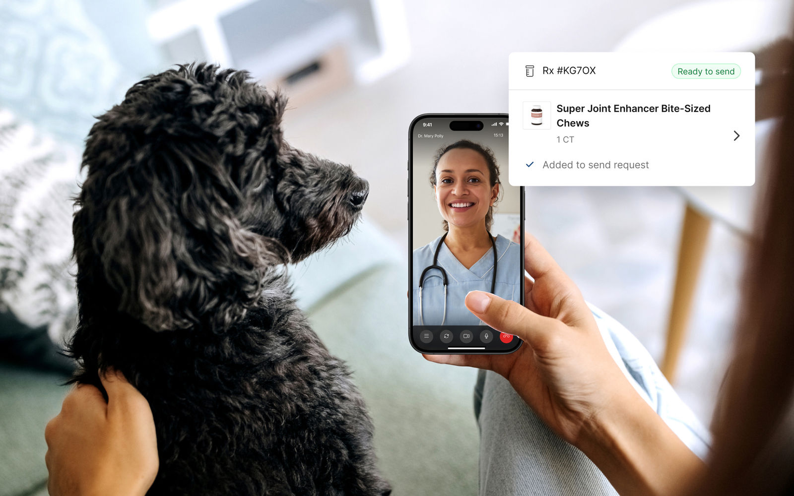 A vet conducts a virtual appointment with a pet owner holding their dog. The vet is on a mobile phone screen, wearing a white coat and stethoscope.