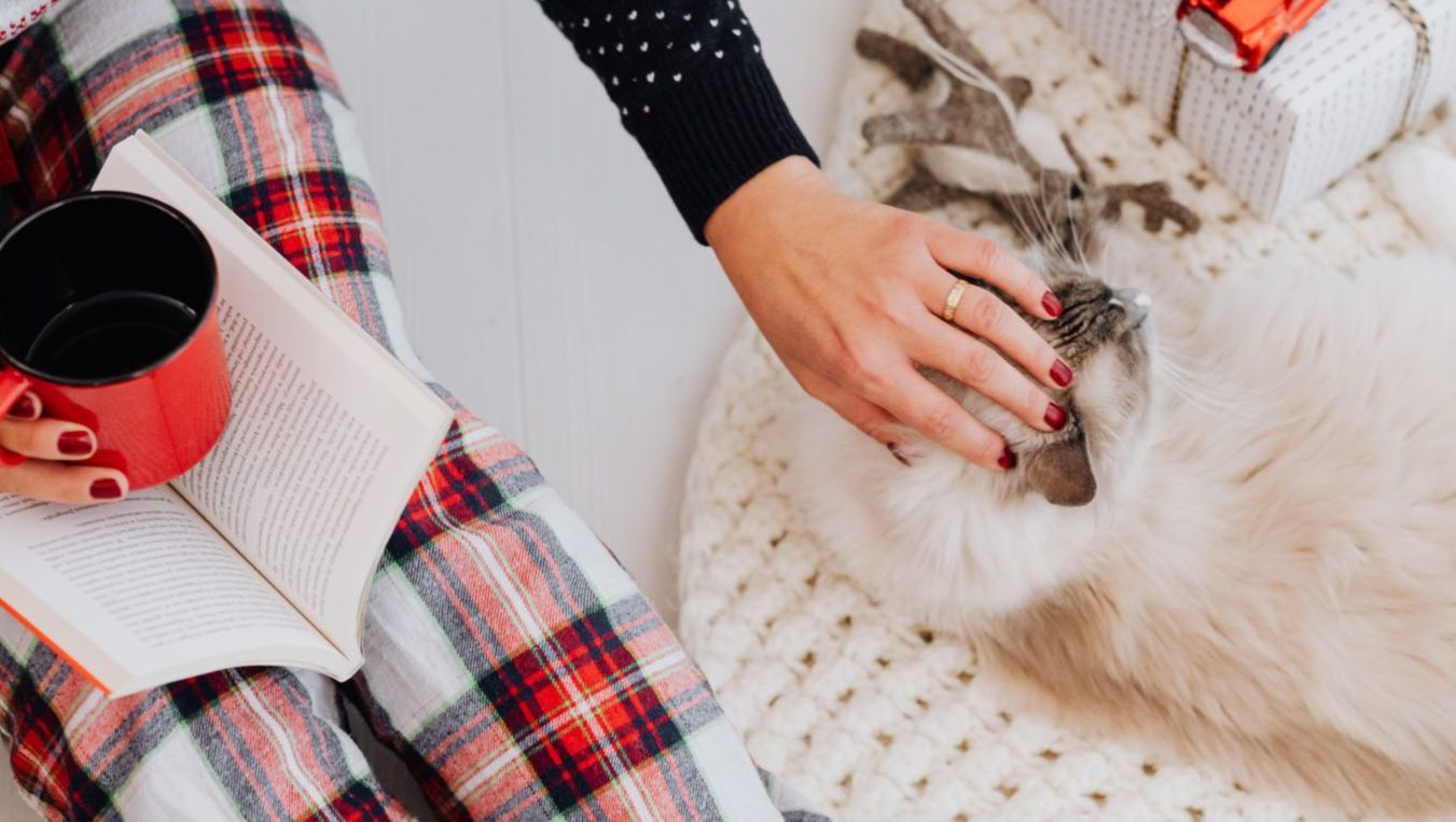 Happy Holidays Pet Edition - Vetster