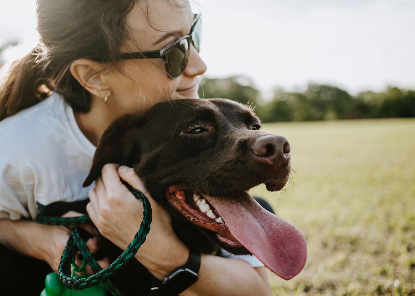 The real reason flea prevention is important and affects you! - Vetster
