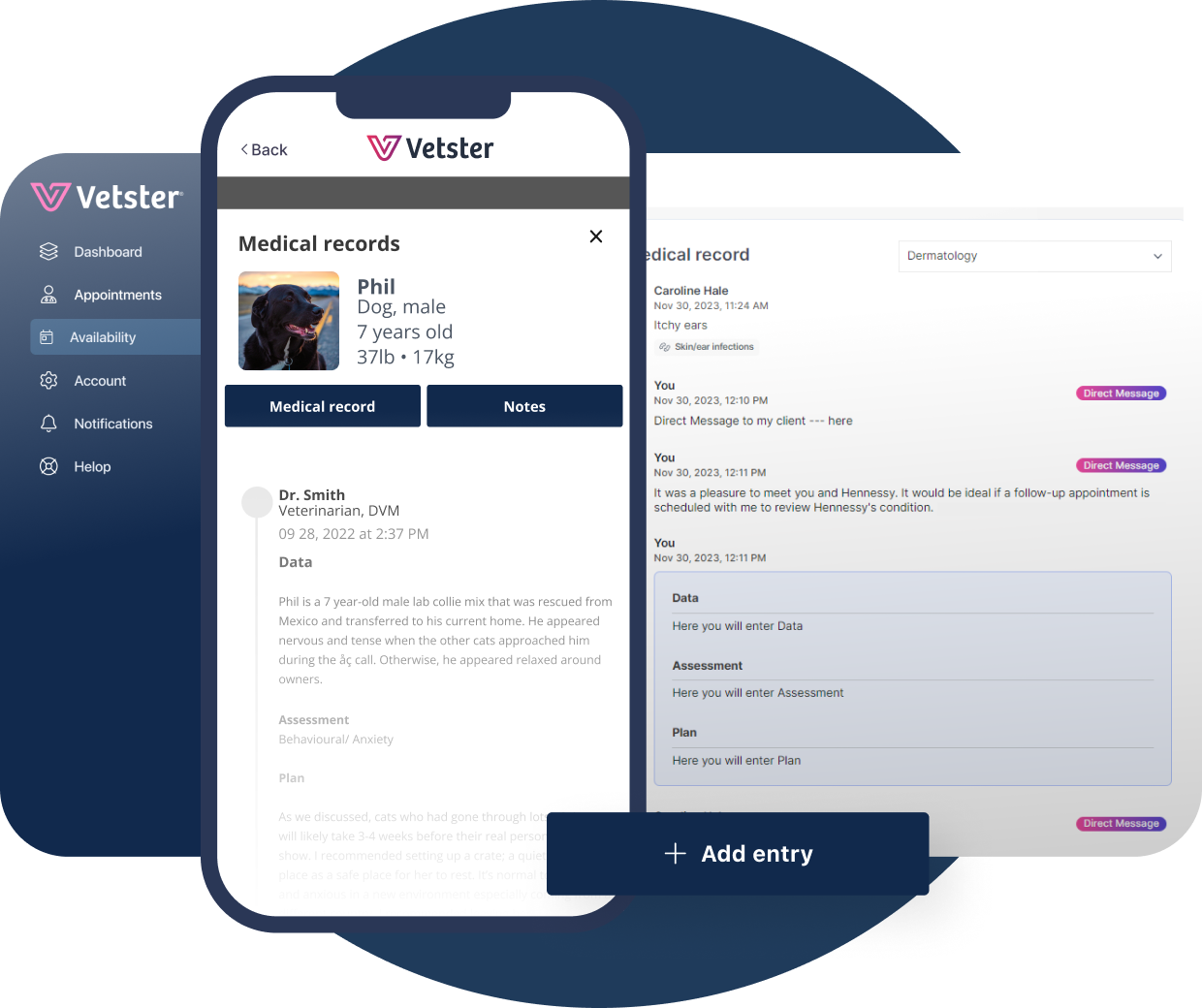 Vetster appointments and medical records