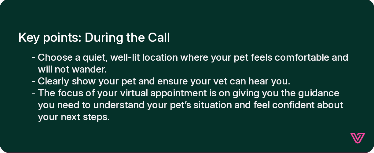 Key points: During the Call