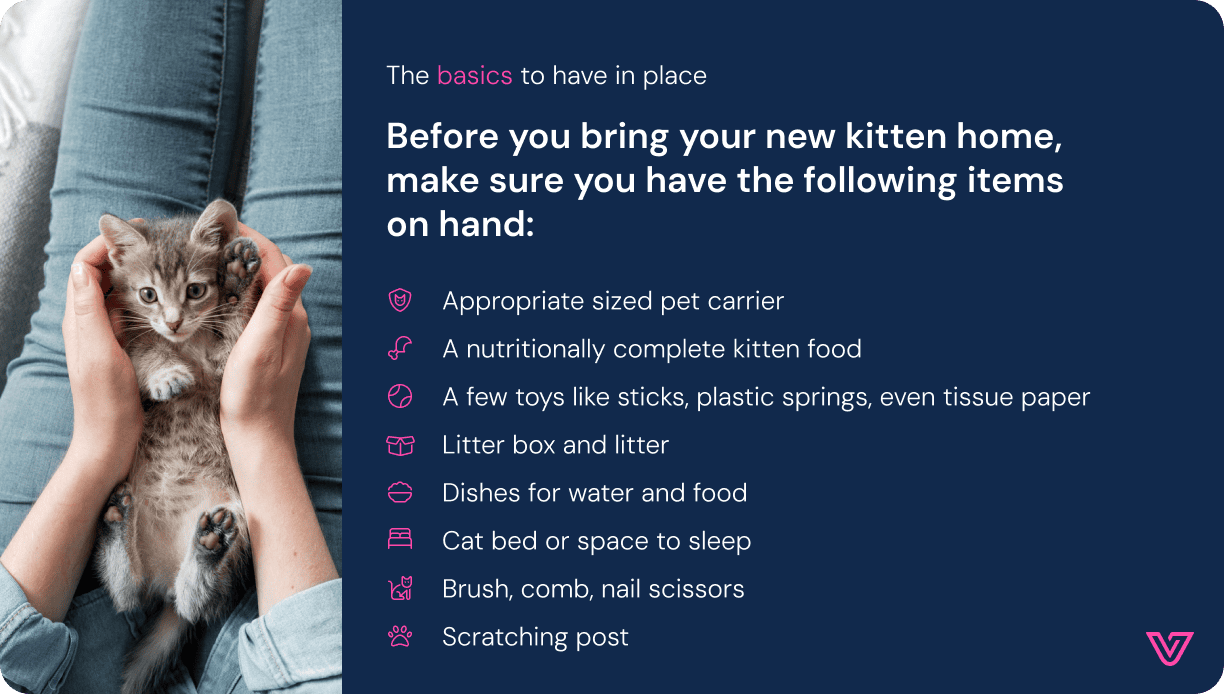 Life-stages-guide_Kitten_Asset 5.png