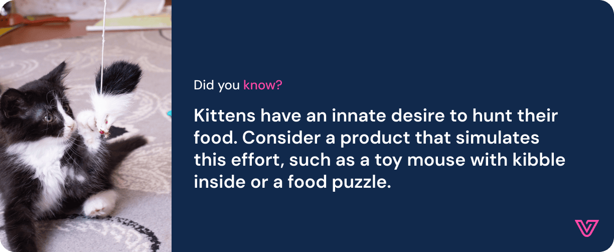 Life-stages-guide_Kitten_Asset 7.png