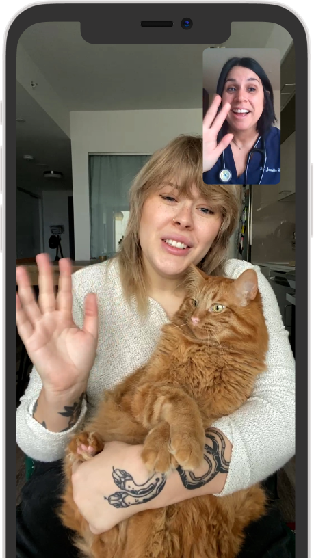 Speak to a vet online any time, anywhere