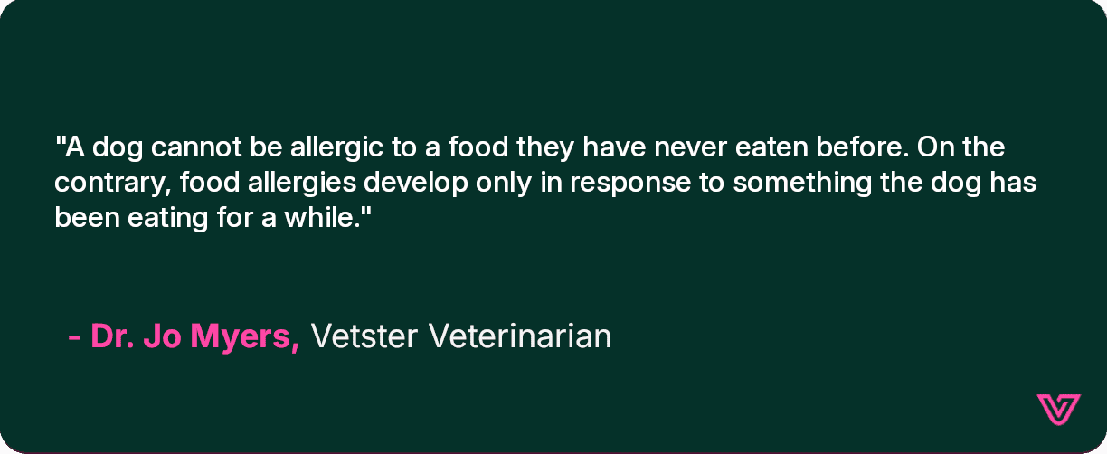 Jo Myers discusses how dogs can become allergic to food after eating it
