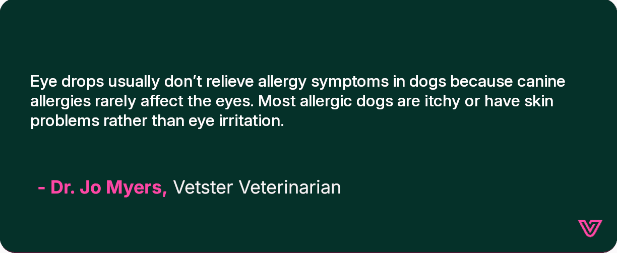 Dr. Jo discusses the rarity of eye-related allergy symptoms in dogs