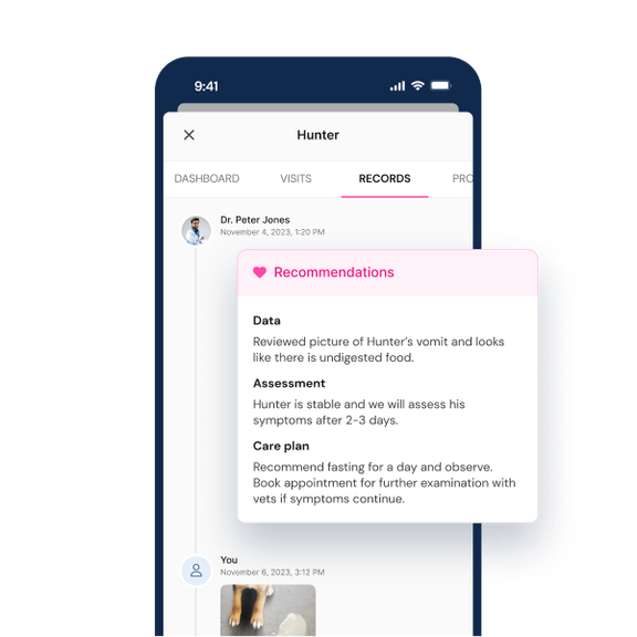 Vetster medical records with recommendations and care plan