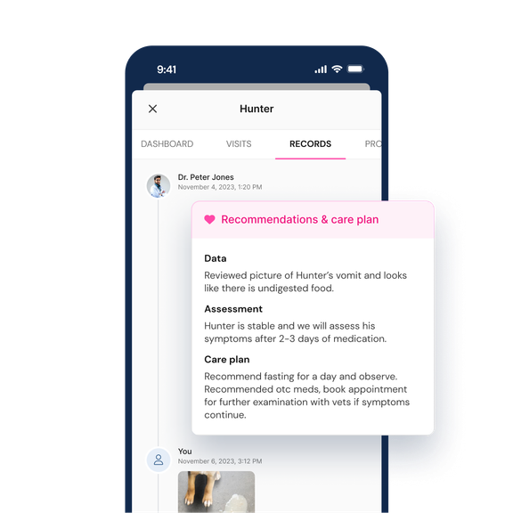 Vetster medical records with recommendations and care plan