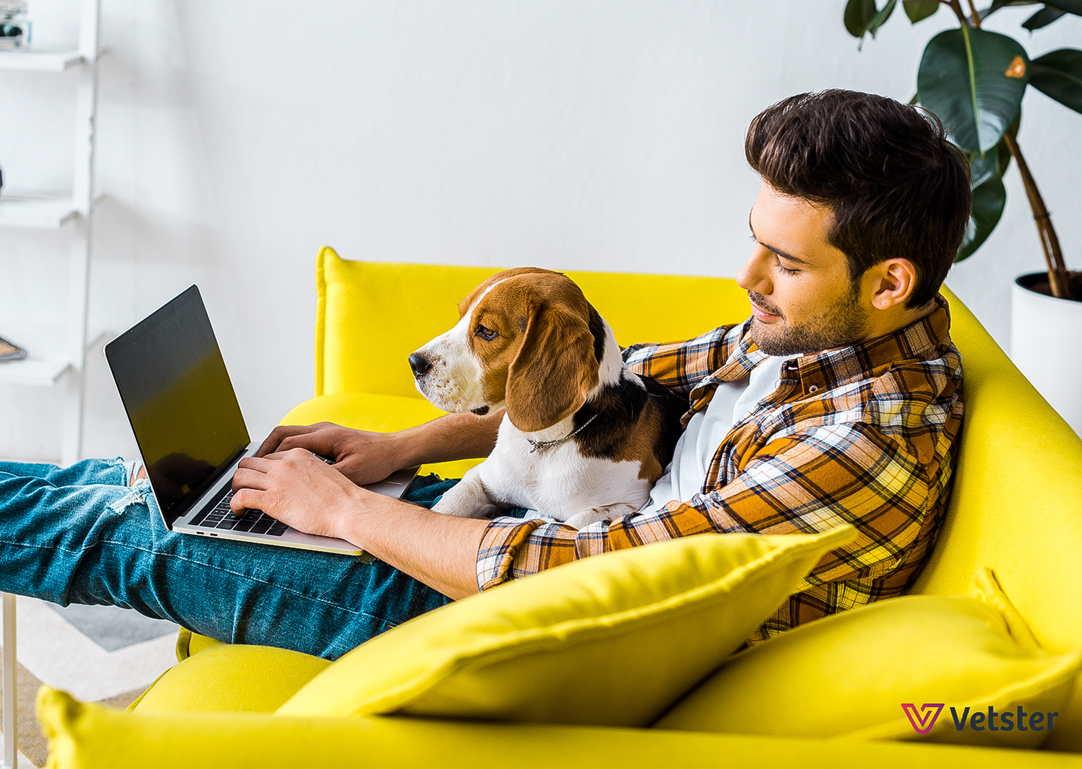 Our referral program has launched! - Vetster