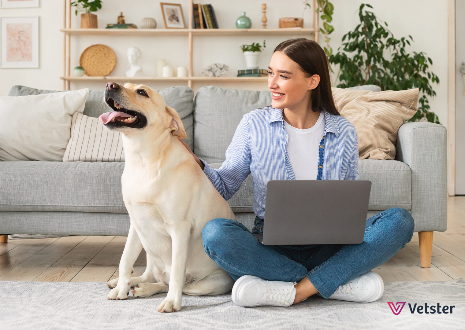 5 Veterinary Telemedicine Myths Busted by Vetster! - Vetster