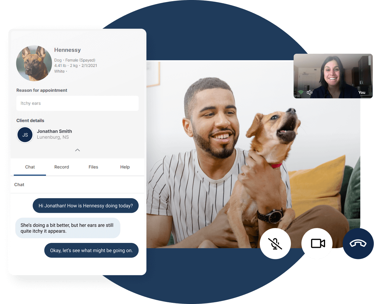 Vetster video call